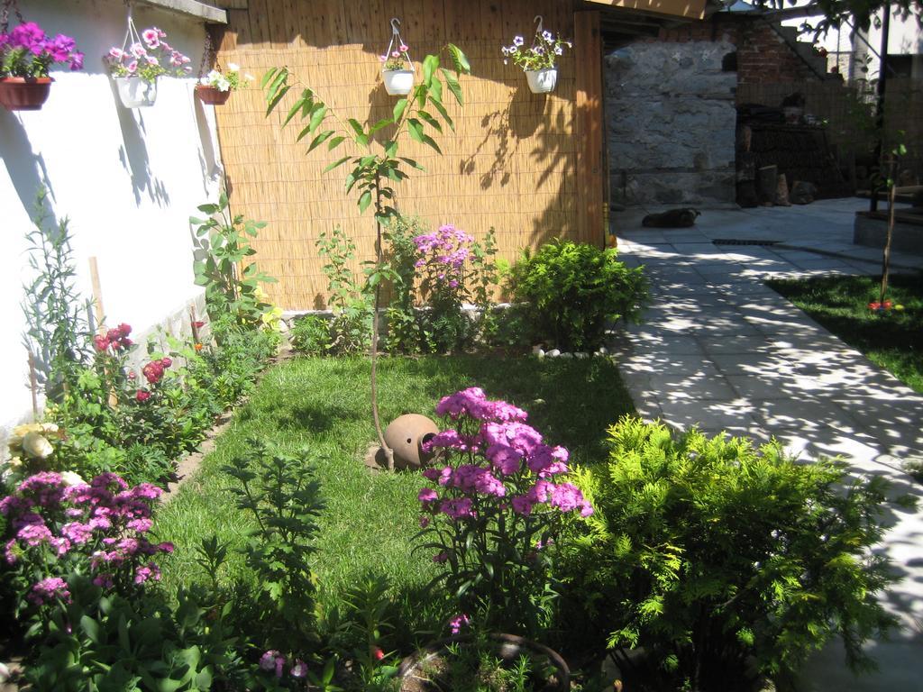 Aseva House Guest House Bansko Zewnętrze zdjęcie