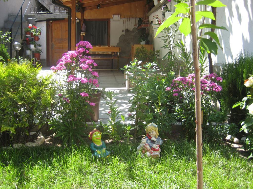 Aseva House Guest House Bansko Zewnętrze zdjęcie